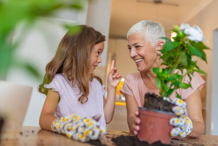 Indoor Garden Potting