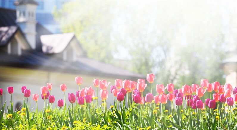 Spring preparations for landscape