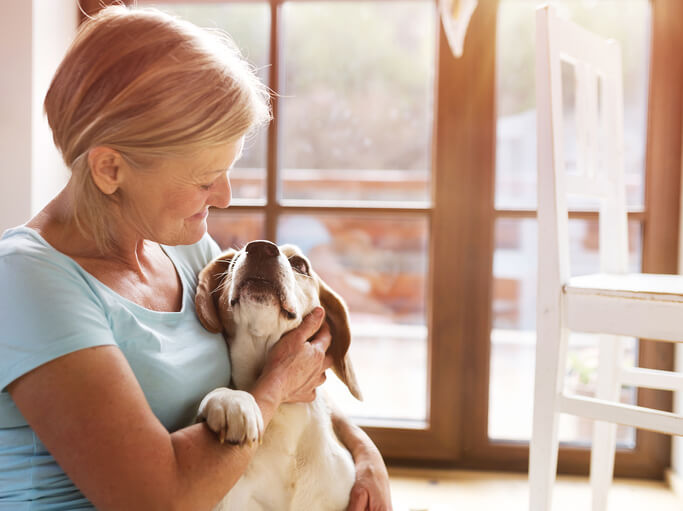 Dog Loves Owner