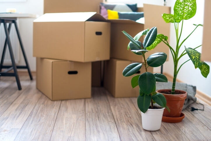 Where to get free moving boxes
