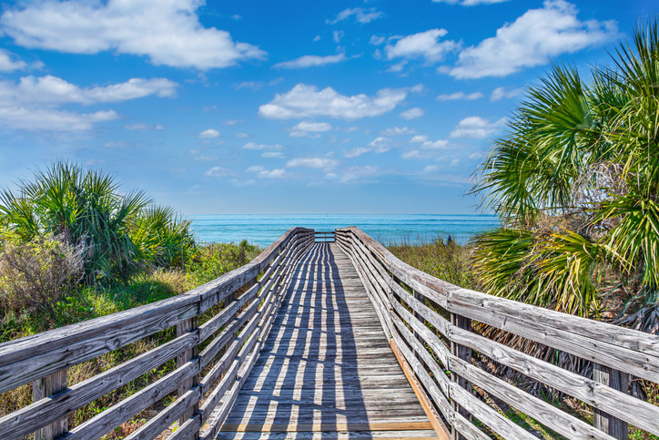 Honeymoon Island State Par