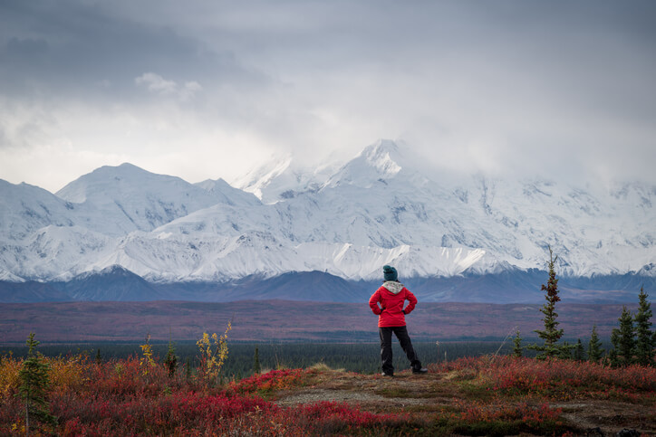 Denali National Park