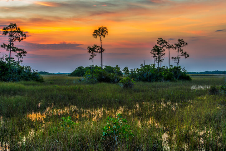 Everglades National Park