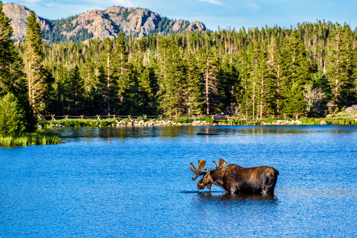 Rocky Mountain National Park