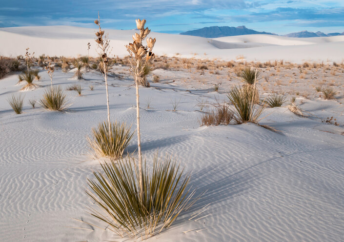 White Sands National Monument