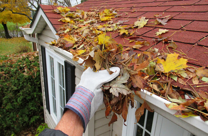 cleaning gutters