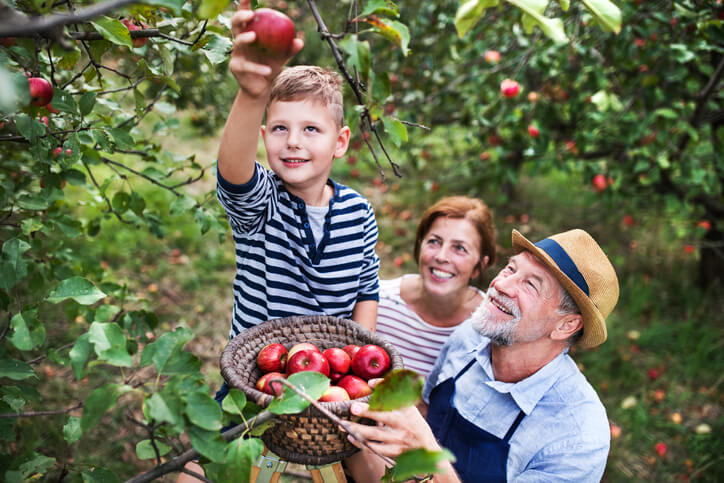 Apple Harvest Fall Fair or Festival