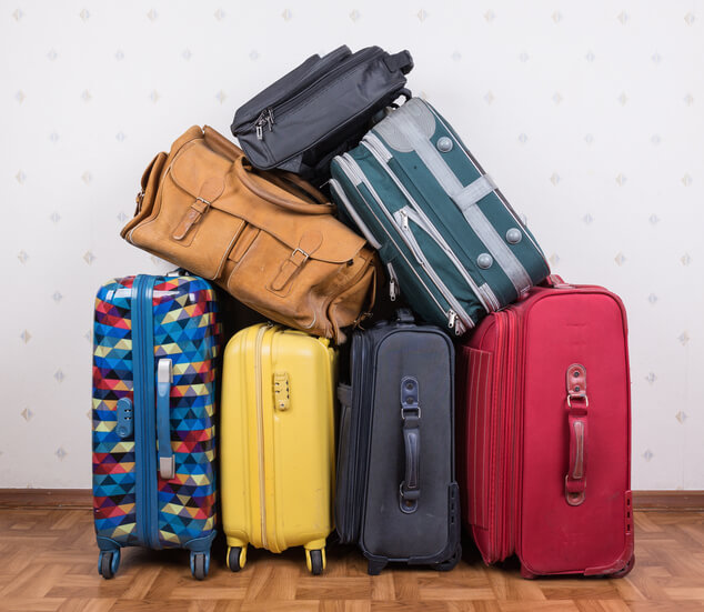 family travel luggage