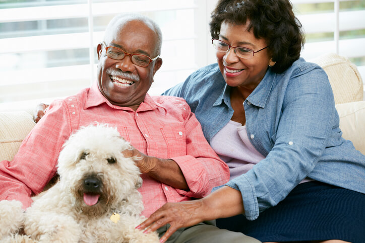 Five Reasons To Consider Adopting A Senior Pet