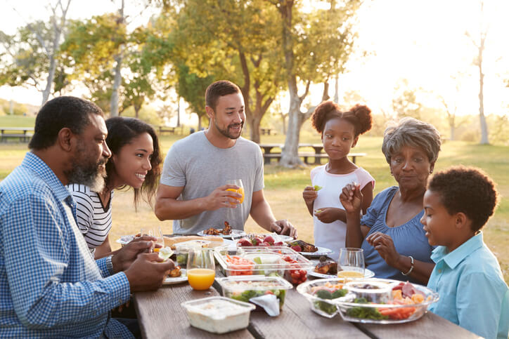 Family Picnic