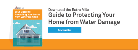 Water Mitigation Ebook Download Button