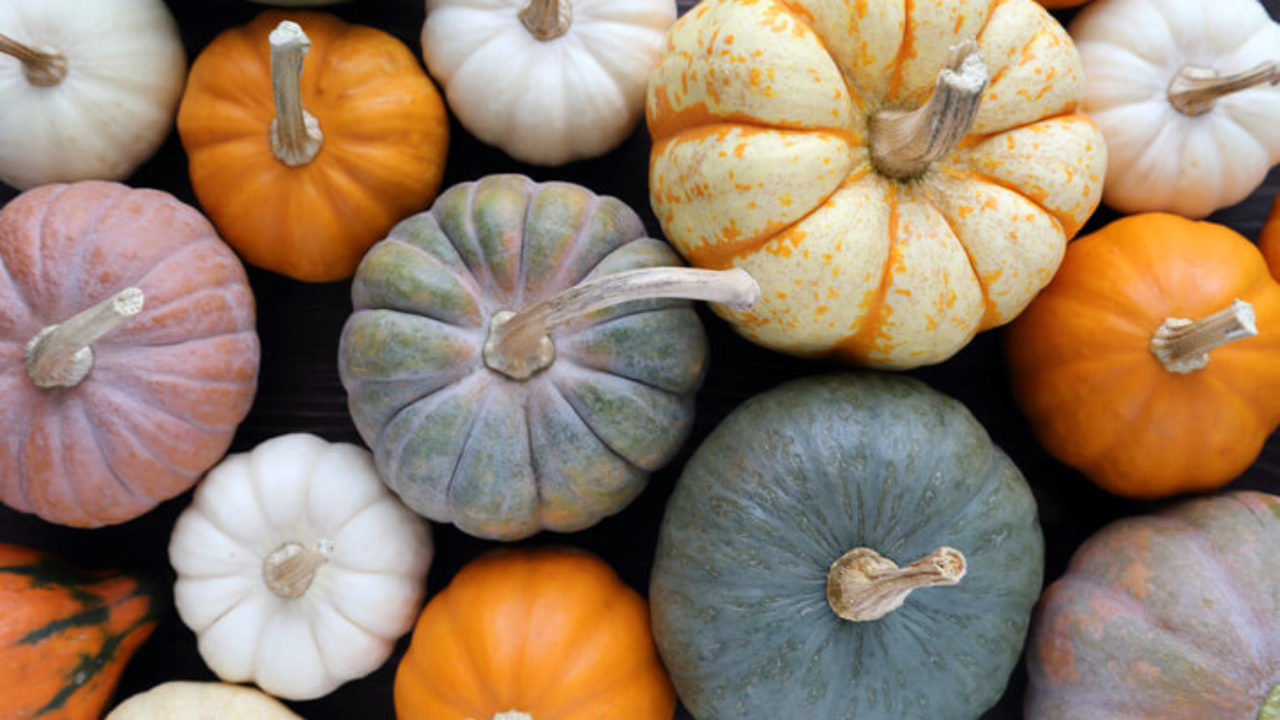Fall Pumpkin DIY Home Decor | Extra Mile | The Hartford