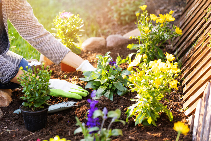 https://extramile.thehartford.com/wp-content/uploads/2020/09/Home-Composting-In-Garden.jpg