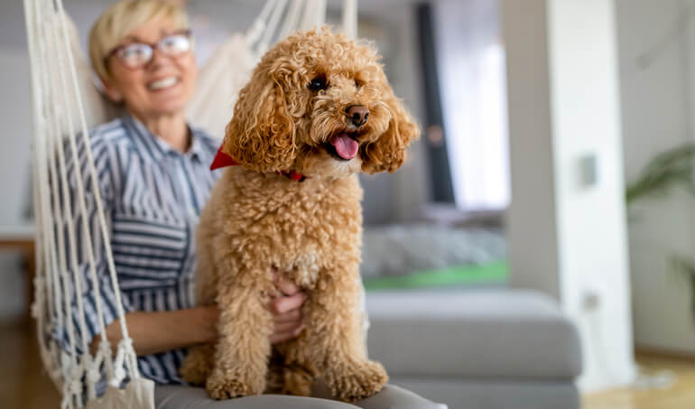 Tech Tools Keep Pets Satisfied