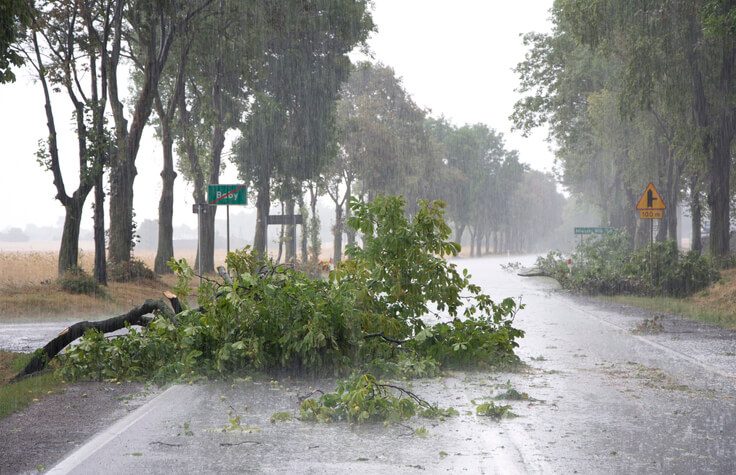 Prepare for Storms with Heavy Wind