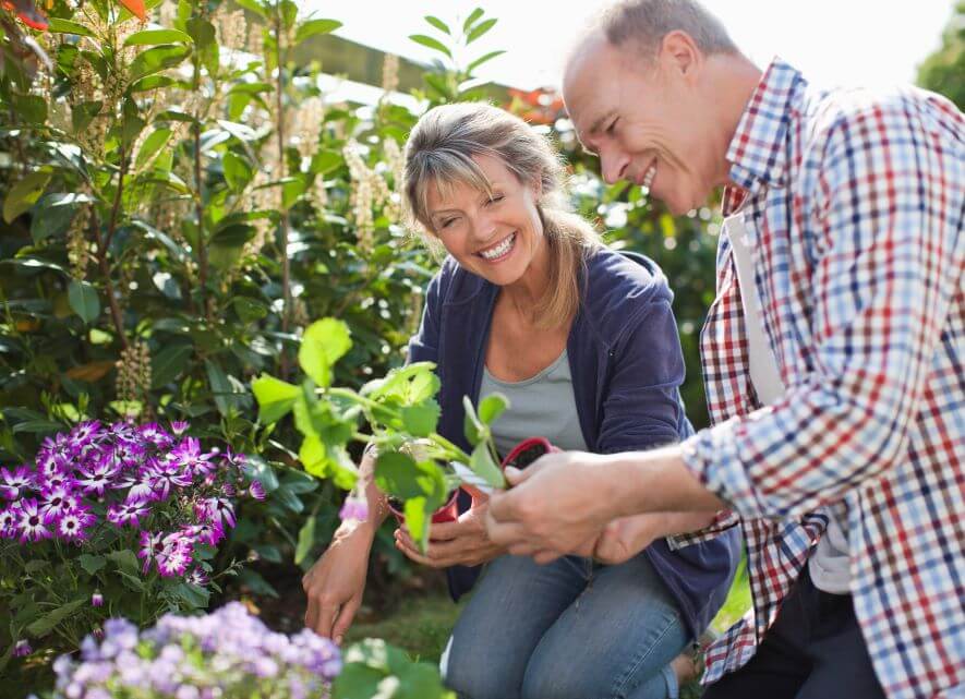 gardening hobby